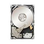 Seagate 9JW168-032