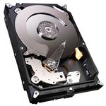 Seagate 9YN162-306