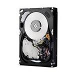 Hitachi HUS153014VLF4E0