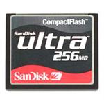 SanDisk SDCFH-256-784