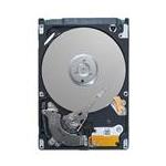 Seagate ST1000LM004