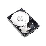 Seagate ST300007FC