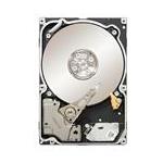 Seagate ST31000524NS-CML