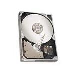 Seagate ST314707LC