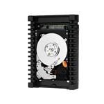 Western Digital WD1001FYYG-18SL3W0