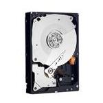 Western Digital WD3000FYYZ-01UL1B2