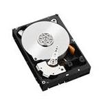 Western Digital WD6002VRYZ
