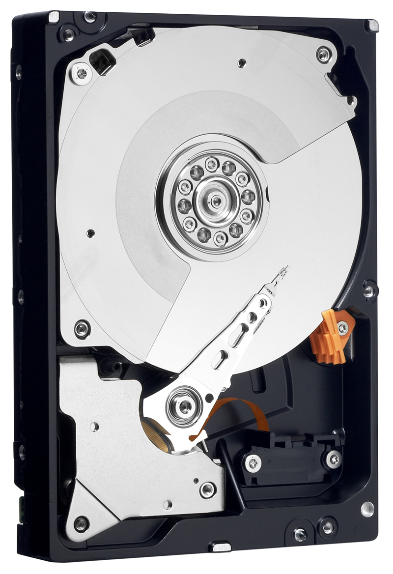 WD800JB10PK Western Digital Caviar Blue 80GB 7200RPM ATA-100 8MB Cache 3.5-inch Internal Hard Drive (10-Pack)