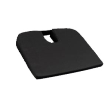 Apple A1002