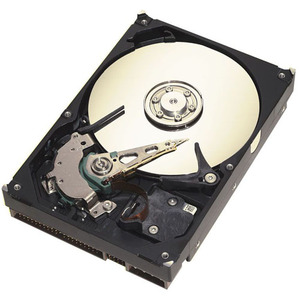Seagate ST3160021A-20PK
