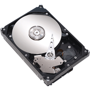 Maxtor L04V100