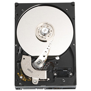 WD2000KS-20PK Western Digital Caviar SE16 200GB 7200RPM SATA 3Gbps 16MB Cache 3.5-inch Internal Hard Drive (20-Pack)