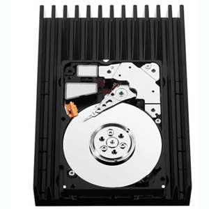 Western Digital WD3000GLFS-20PK