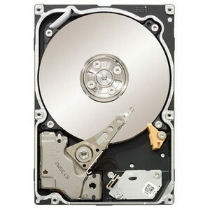 Seagate ST9160511NS-10TPK
