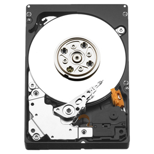 Western Digital WD4500BLHX/20PK