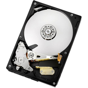 Western Digital 0A39261-20PK