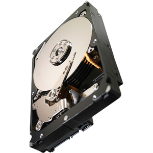 Seagate ST32000646NS-20PK