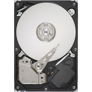 Seagate ST31000524AS-IM