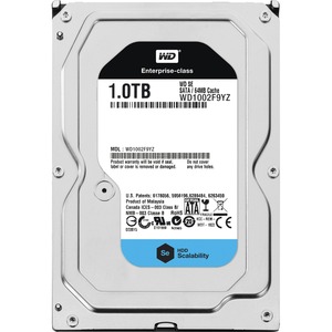 Western Digital WD1002F9YZ/20PK