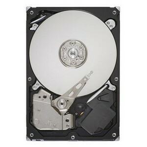 Seagate ST31000520AS-RF