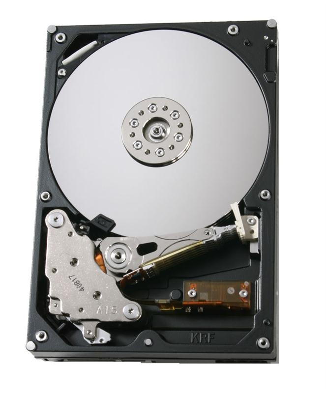 5048822 EMC 750GB 7200RPM SATA 3Gbps 3.5-inch Internal Hard Drive 005048822