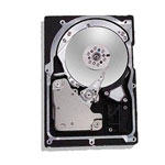 Maxtor L01P160