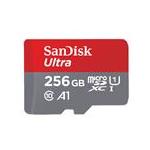 SanDisk SDSQUAR-256G-GN6MA