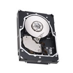 Seagate ST3450657SS