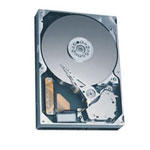 Seagate STM3250624A