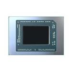 AMD 100-000000989