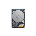 Seagate 1ACI54-300