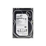 Seagate 1F416R-500