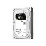 Seagate 1YL212-251