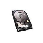 Seagate 1ZA17Z-500