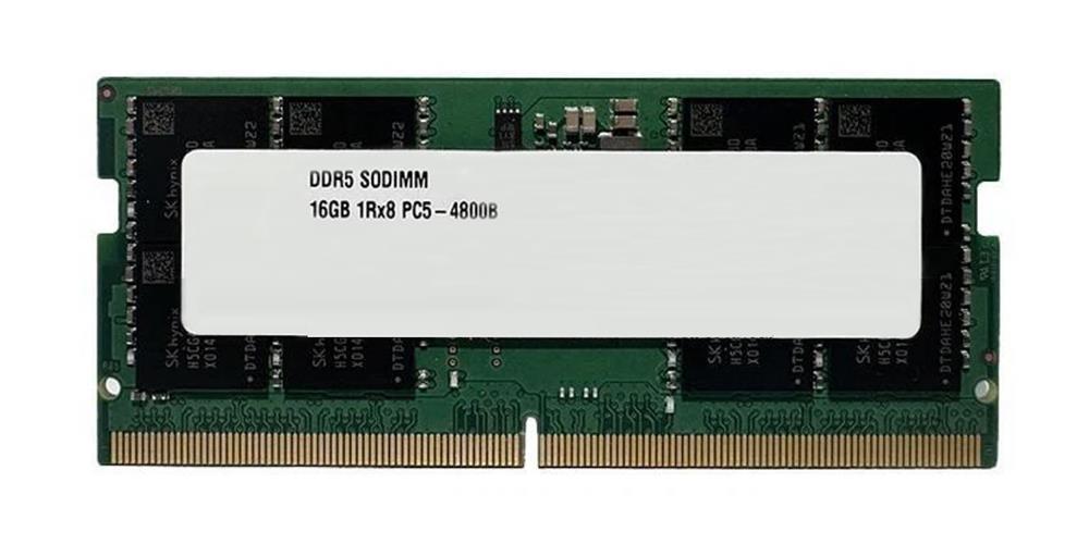 5M31N59975-lg.jpg