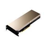 NVIDIA 900-2G171-0000-100