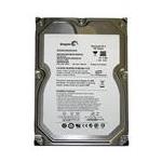 Seagate 9CA156-382