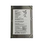 Seagate 9W2084-009
