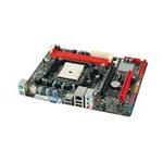 Biostar A55MLV