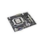 ECS Elite A75FM