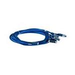 Cisco CAB-HD4-232MT