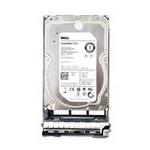 Dell DS-SAS6-35-4000X7K-D