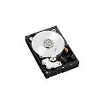 NetApp E-X4070A-R6-C