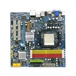 Gigabyte Tech GA-MA69GM-S2H