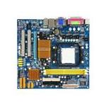 Gigabyte Tech GA-MA74GM-S2H