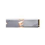 Gigabyte Tech GP-ASM2NE2256GTTDR