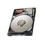 Hitachi HUS103030FLF2210