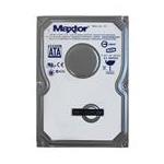 Maxtor L01P250