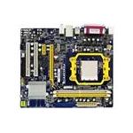 Foxconn M61PMV
