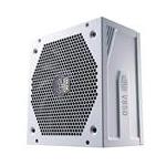 Cooler Master Co MPY-850V-AGBAG